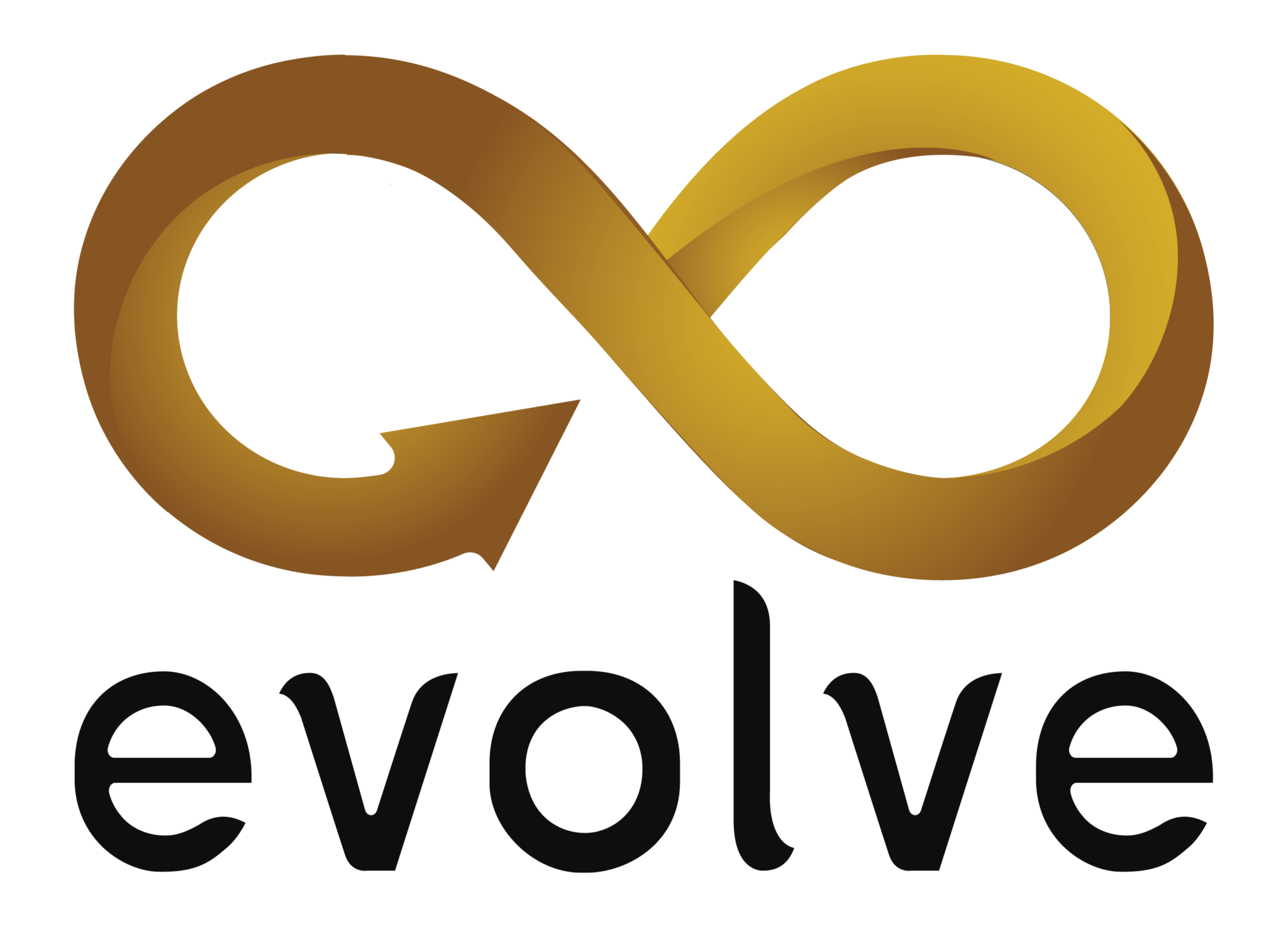 Partnerships – CTSS IPB