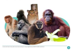 IUCN SSC Indonesia Species Specialist Group – CTSS IPB